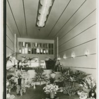 J.R. Davidson: Schilling's Flower Store (Los Angeles, Calif.)